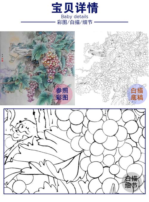 斗方小品白描底稿-孙锡之工笔花鸟-葡萄-a446