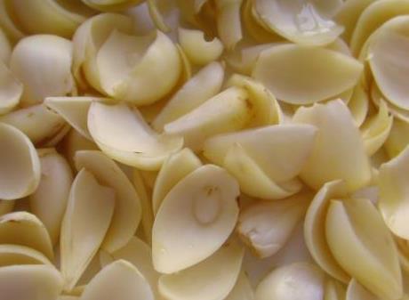 产妇吃百合的食用禁忌