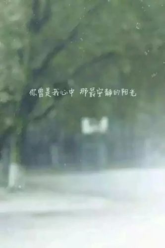 你曾是我心中最安静的阳光 文字壁纸#锁屏#手机壁纸#文字句子