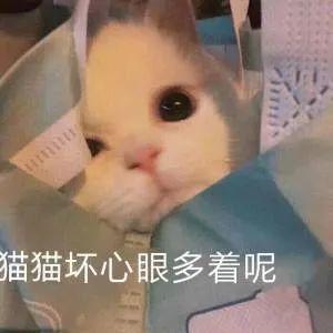 每天更新早知道全网最火抖音表情包潮图都在这里了可爱的表情包,沙雕