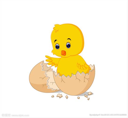 卡通破壳小鸡图片