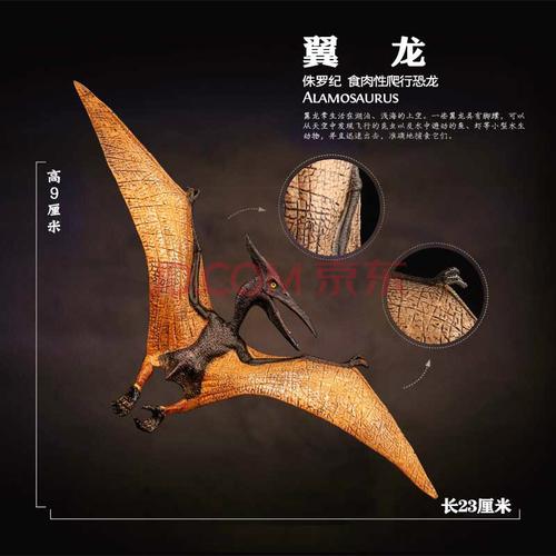 翼龙飞翔飞天恐龙模型 霸王龙三角龙 仿真动物模型儿童男孩玩具 翼龙