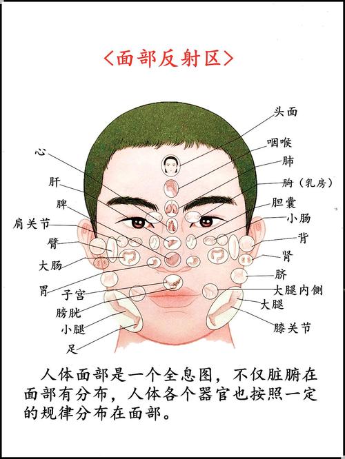 中医面部望诊解读(连载五)