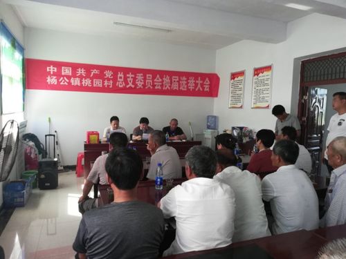 谢家集区杨公镇圆满完成村级党组织换届工作