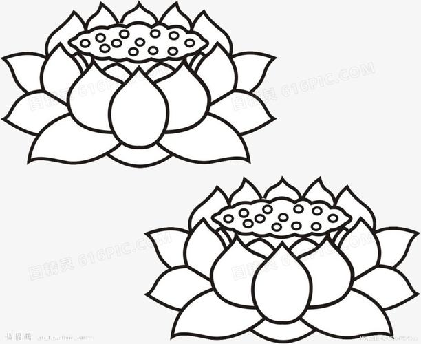 简笔画黑色莲花