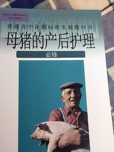 恶搞老婆的愚人节礼物,原创二次元母猪的产后护理教科