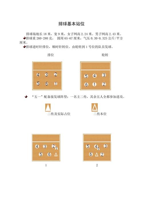 排球基本站位