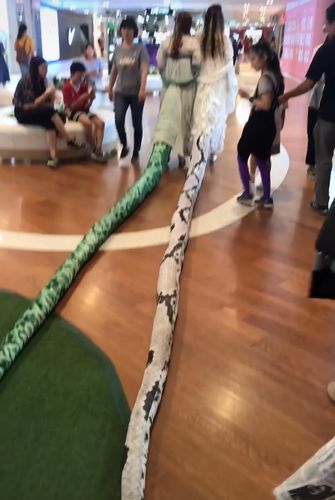 闺蜜穿古装cos白素贞和小青,"蛇尾"长4米,路人都看傻了!