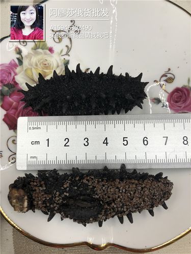 海参 萨哈林大红参25头 6排刺 8成干原货