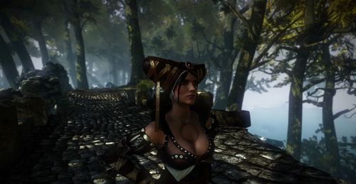 《巫师2》众女性npc鉴赏