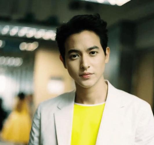 哥哥的滚烫人生曝全阵容33位艺人在列泰国男星或将加盟