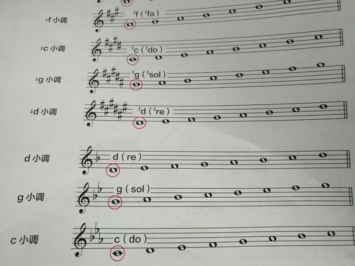升d小调,d小调,g小调,c小调