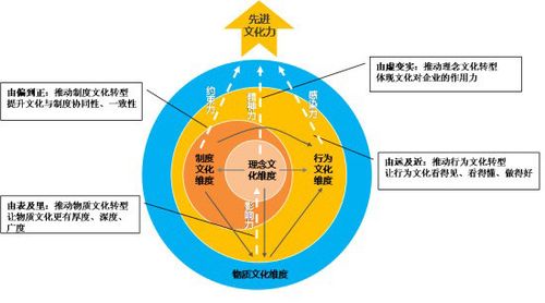 文化四维度转型模型