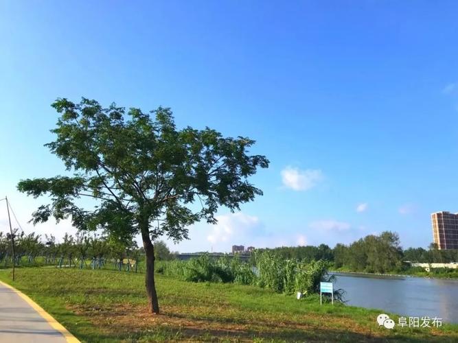 泉水湾湿地公园  颍河景观带
