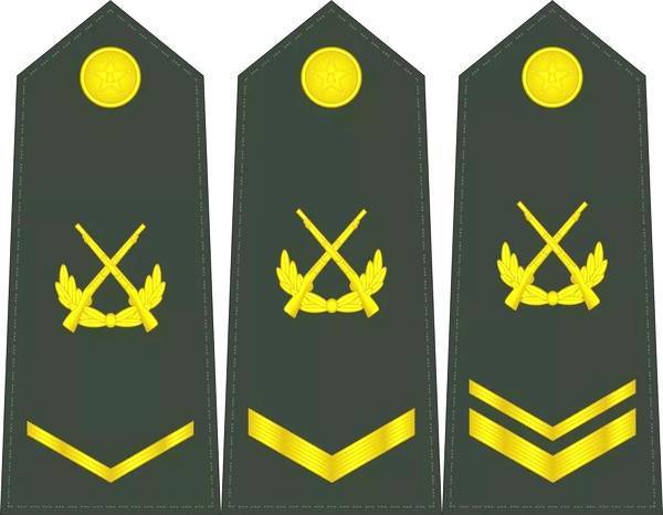 将军看到一级士官需要敬礼吗?详解中国解放军军衔制度