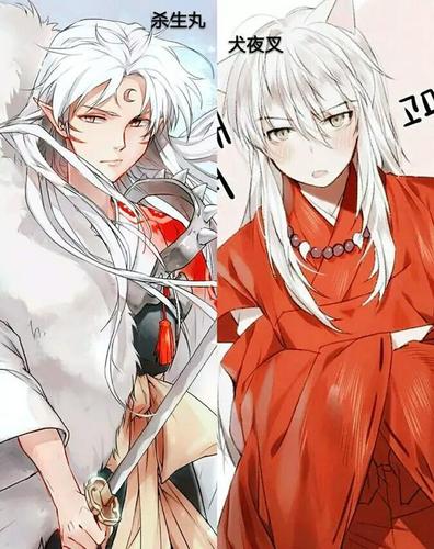 杀生丸和犬夜叉cp组合,颜值逆天