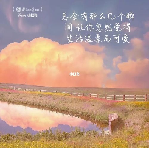 温柔只给意中人_素材_素材_文字素材