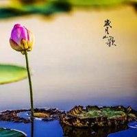 符合岁月如歌的头像_微信头像图片大全