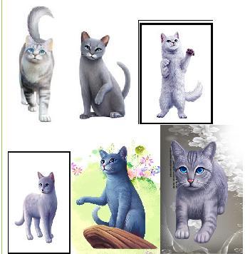 《猫武士》中,那只蓝色眼睛,站立的小猫,很可爱的,是谁呀?