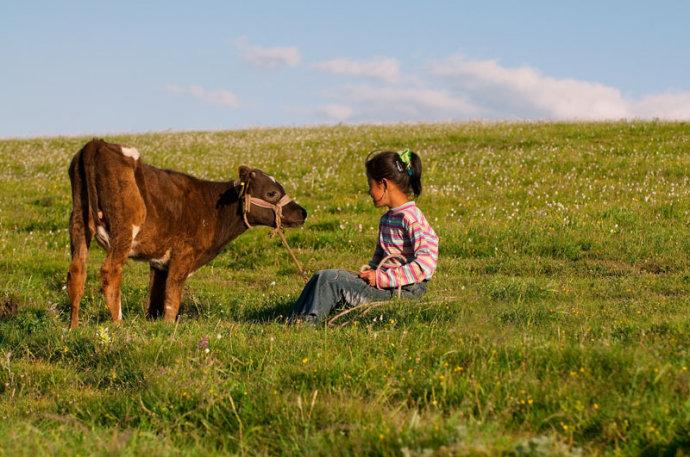 (放牛的小姑娘)