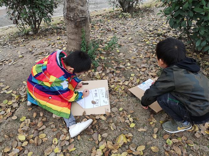 街心花园里的秘密