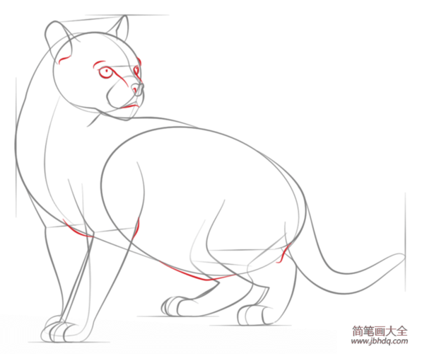 如何画豹猫简笔画
