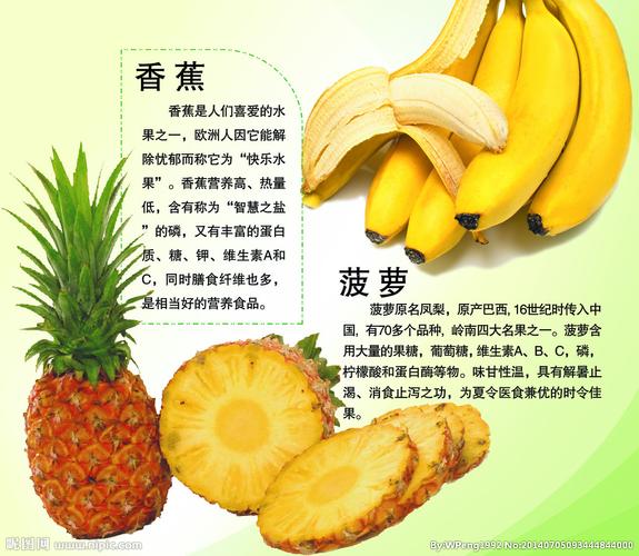 psd(cs5)颜色:cmyk100共享分×关 键 词:香蕉 菠萝 水果 水果图片