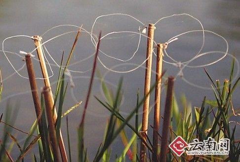 捕鸟工具制作方法