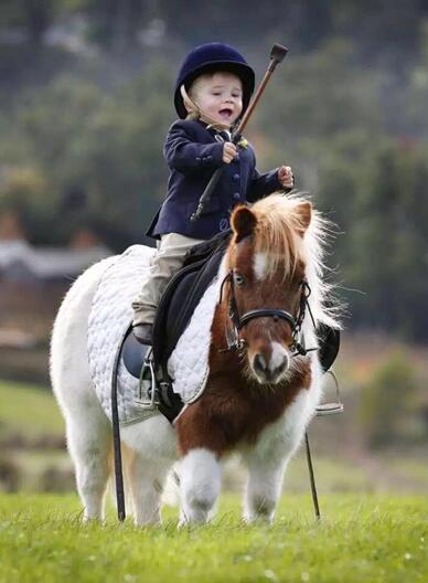 小矮马表演赛入驻那拉提!草原小骑手选拔赛