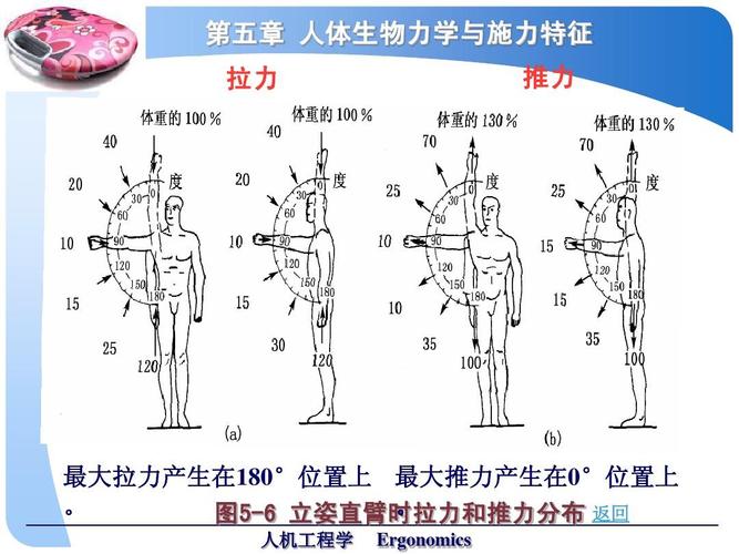 骨科人体生物力学与施力特征分析_word文档在线阅读与下载_无忧文档