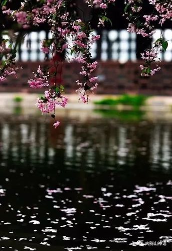 上联:落花春雨后,如何对下联