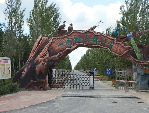 一马树森林公园大门