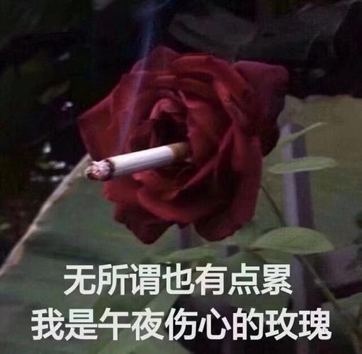 点烟,无所谓也有点累我是午夜伤心的玫瑰
