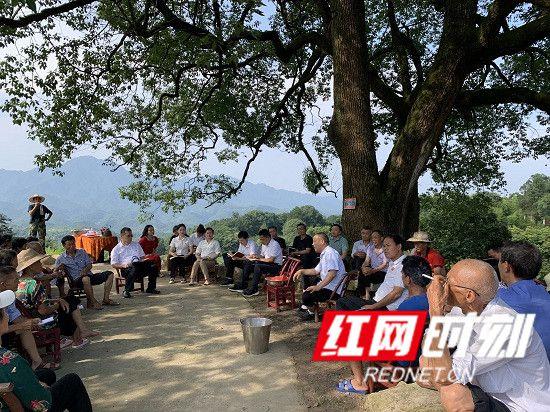 慈利县南山坪乡开展"平安网格进万家,安全满意兴万家"