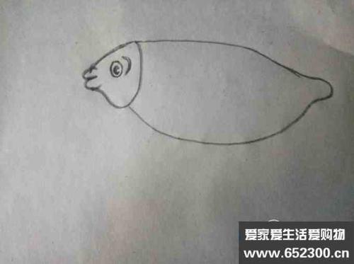 简笔画之鲫鱼