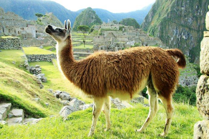 南美秘鲁,厄瓜多尔旅行记(七)马丘比丘图片696,南美洲旅游景点,风景