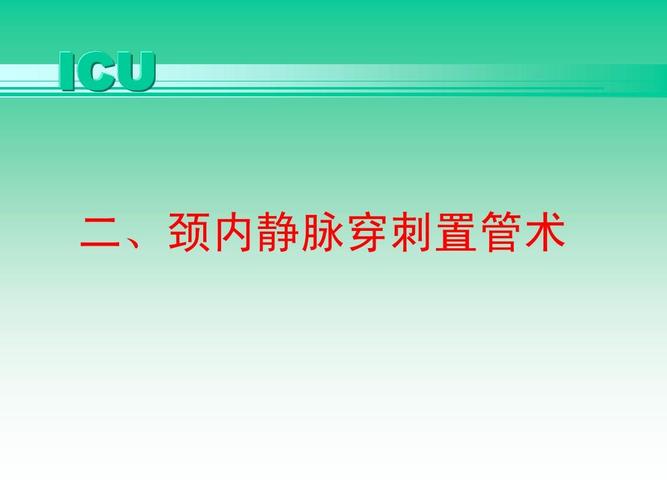 中心静脉穿刺置管术