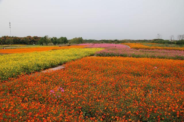 三台山国家森林公园景区旅游攻略 之景点32(32/共40页)