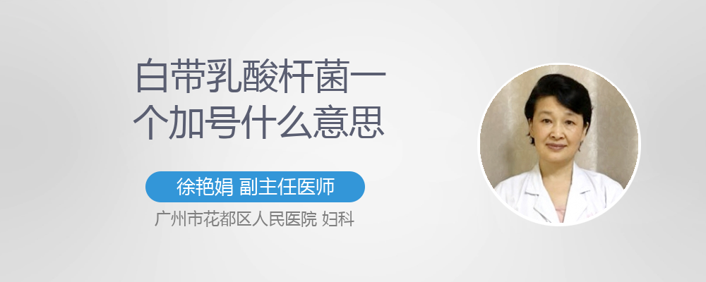 乳酸杆菌少许什么意思