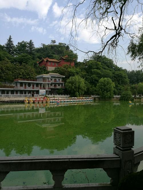 六枝桃花公园美景