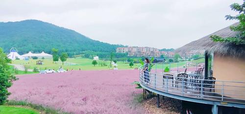 太湖修心谷之二2020*10*4