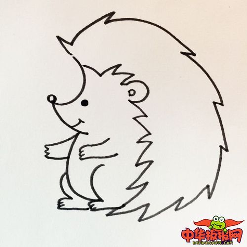 刺猬怎么画简笔画,简笔画刺猬的画法步骤