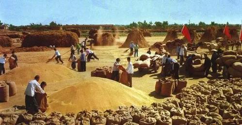 老照片六七十年代的人民公社