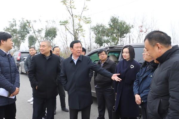 市政协副主席沈振清督办重点提案