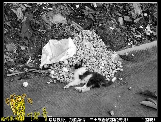 [10月3日]登云水库发生离奇命案,弃尸路边.胆小勿入