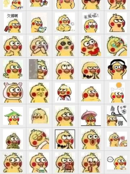 小黄鸡(小鹦鹉)表情包_表情包_我最爱的表情包_素材