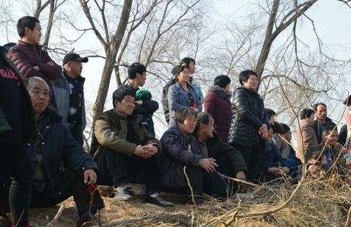 其它 闹元宵入云梦 罗屯村里春潮涌(下) 摄影地点河北省饶阳县罗屯村.