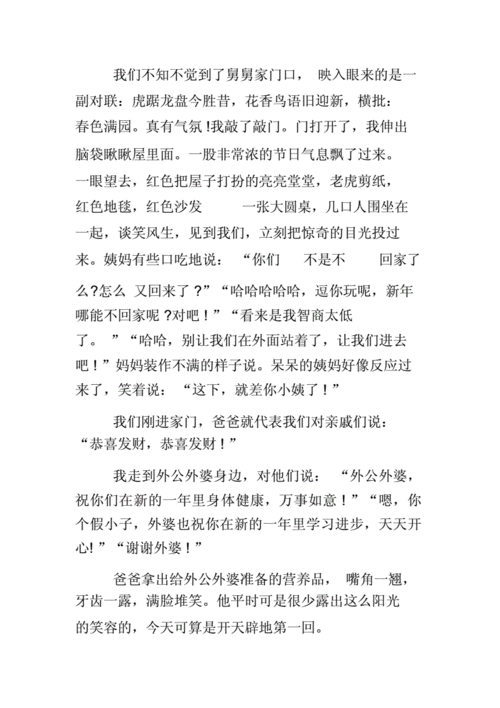 走亲访友日记doc6页