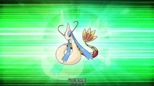 精灵宝可梦个人最喜欢的闪光宝可梦top10中文字幕