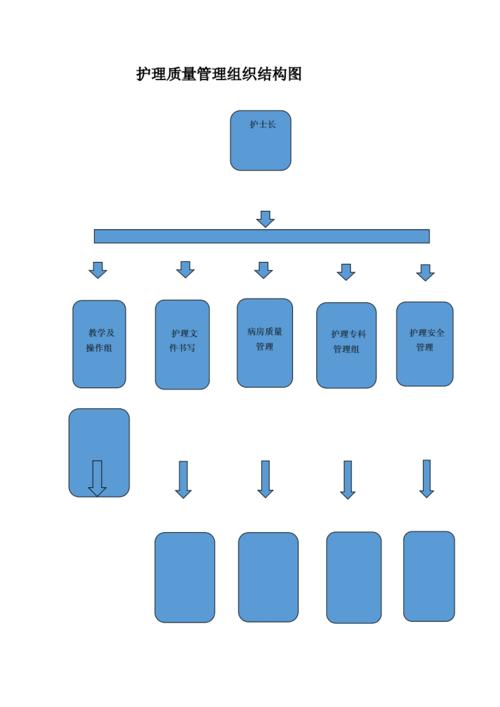 护理质量管理组织结构图.docx 2页